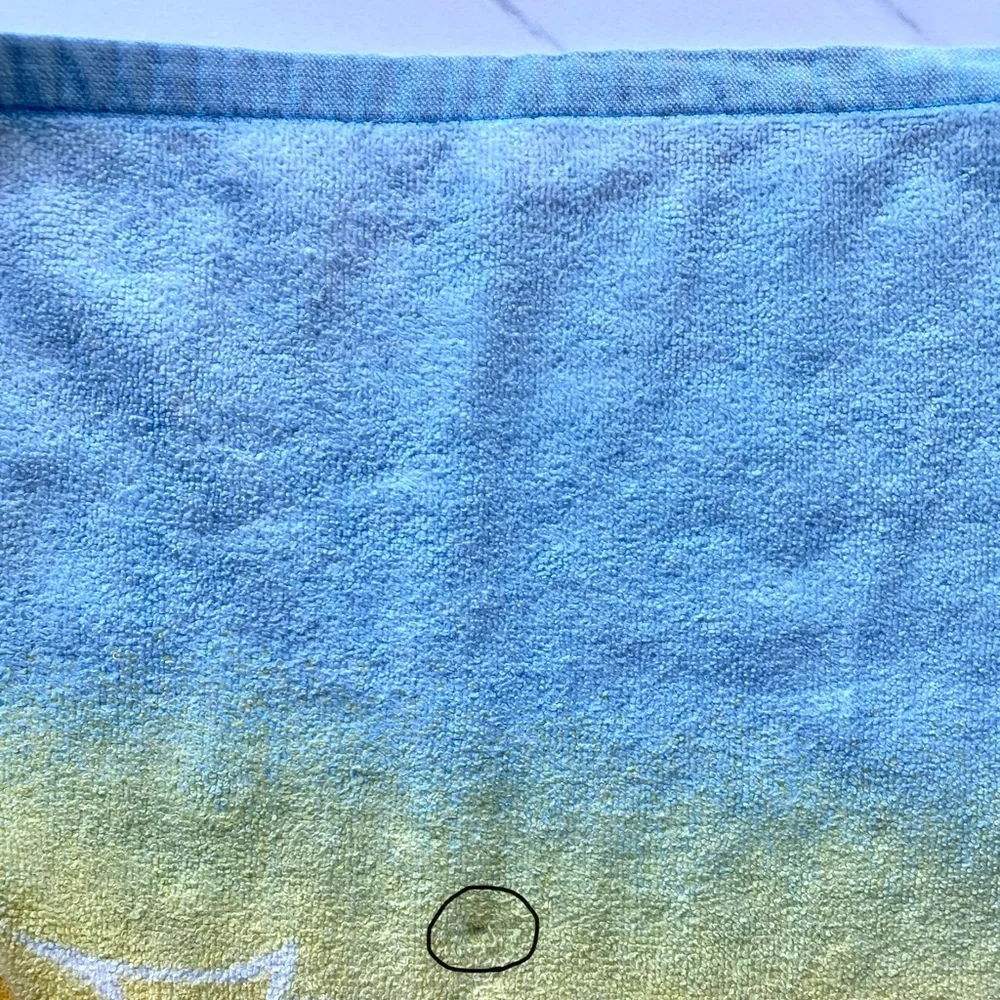 VTG Lisa Frank Casey and Caymus beach towel